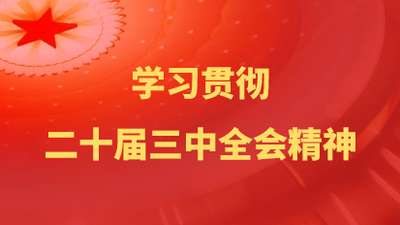 学习贯彻二十届三中全会精神
