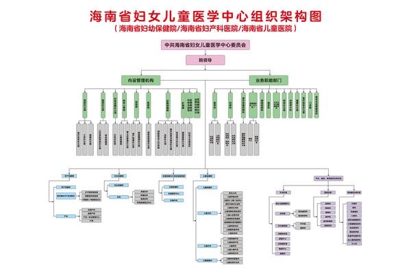 海南省妇女儿童医学中心组织架构图(1).jpg